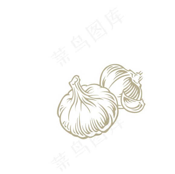 大蒜 线稿