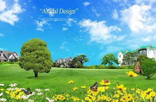 草地上的黄色花朵和绿树