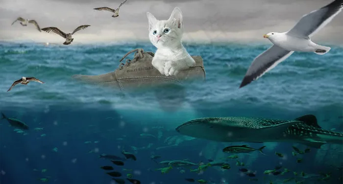 漂流记海报psd模版下载