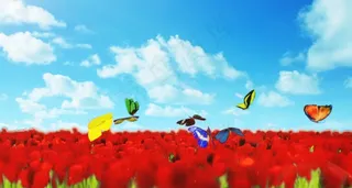 花海蝴蝶视频背景