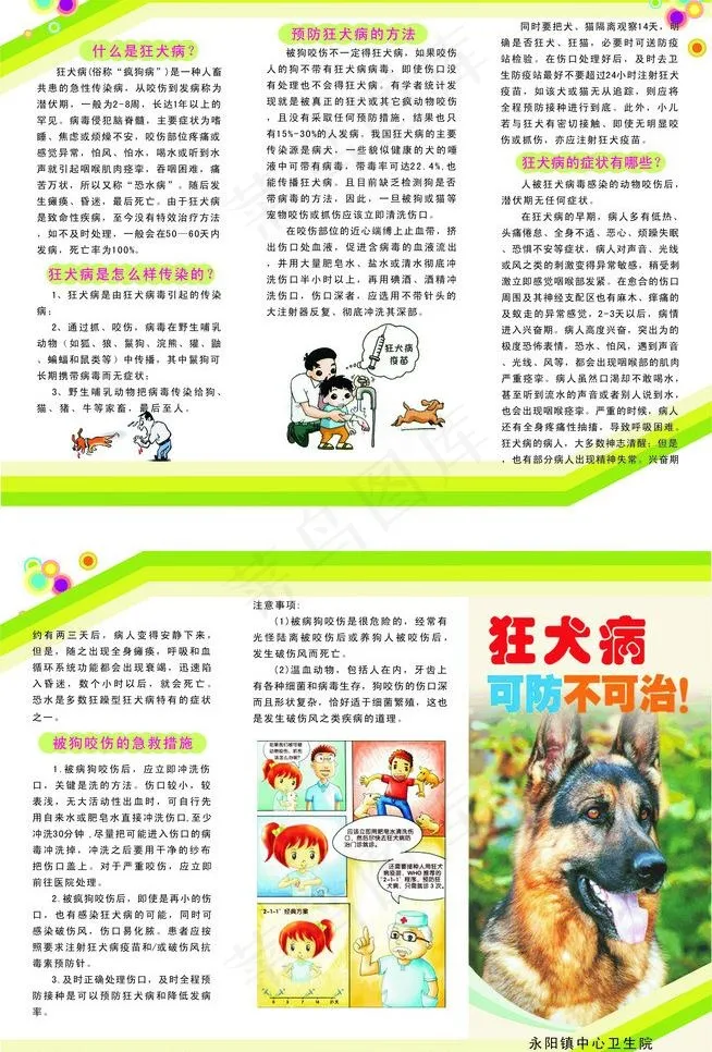 狂犬病三折页图片cdr矢量模版下载