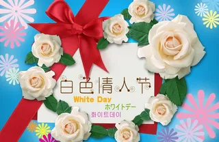 白色情人节图片