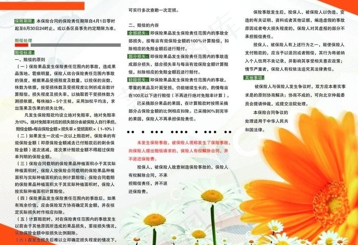 樱桃农业保险彩页图片