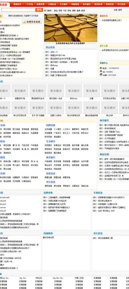 淘特地方分类信息系统图片