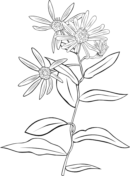 植物的花灌木剪贴画