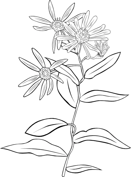 植物的花灌木剪贴画