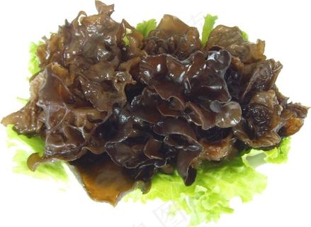 木耳图片素材下载