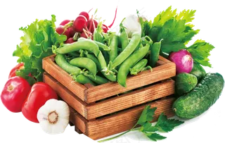 水果蔬菜组合PNG免扣素材