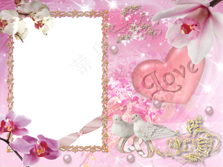 蝴蝶兰照片边框