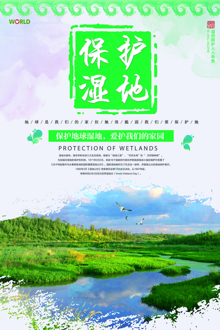 绿色简约保护湿地宣传海报