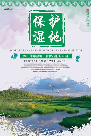 绿色简约保护湿地宣传海报