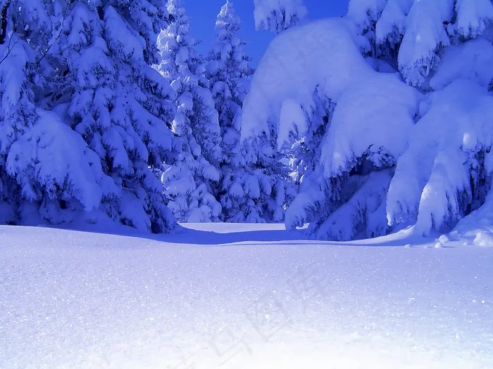 积雪美景