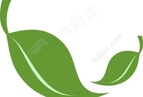 树叶图片
