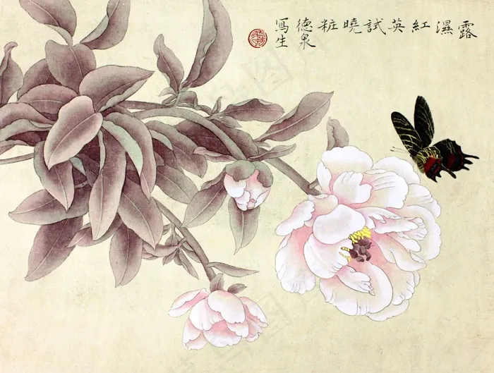 花间图片