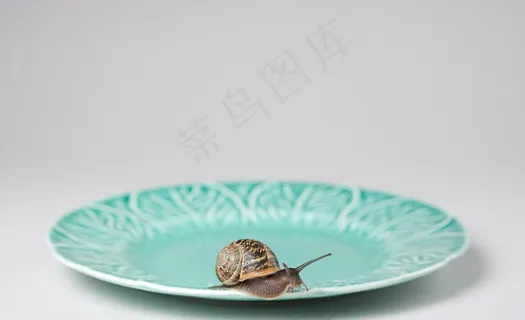 盘子里的蜗牛图片