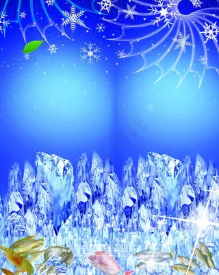 冷冻品水产图片