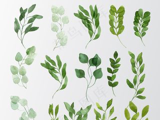 森系树叶矢量文件小报海报素材元素