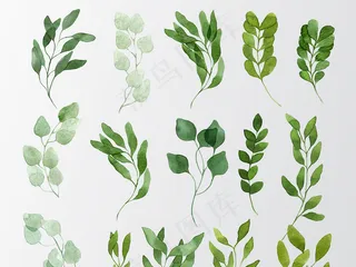 森系树叶矢量文件小报海报素材元素