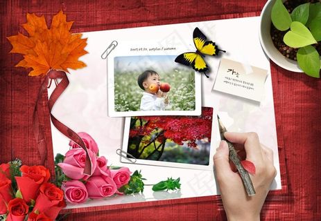 情人节节日素材图片