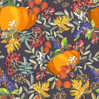 秋季彩色树叶果实设计素材