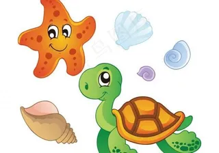 矢量乌龟 海五星图片