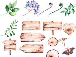 手绘彩色树叶木板花卉PNG免扣素材