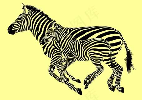 斑马矢量素材 斑马矢量素材