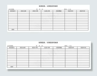 短期借款、长期借款明细表