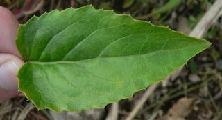 小型会议室模型