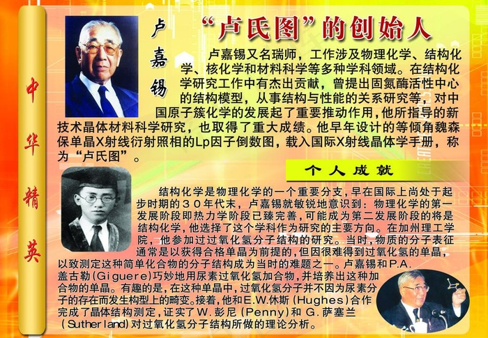 中华精英图片