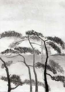 山水松树 山水松树
