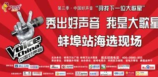 中国好声音海选海报图片