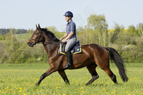草地上骑马的人图片