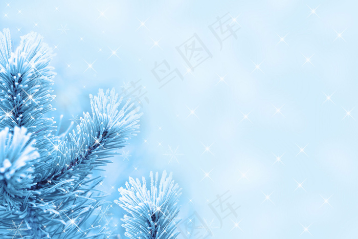 冬季雪景雪花高清图片-3