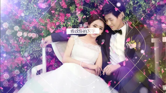 2018新款婚庆视频片头模板