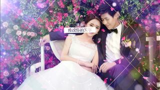 2018新款婚庆视频片头模板