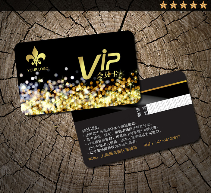 精美VIP卡模板设计 尊贵VIP卡...