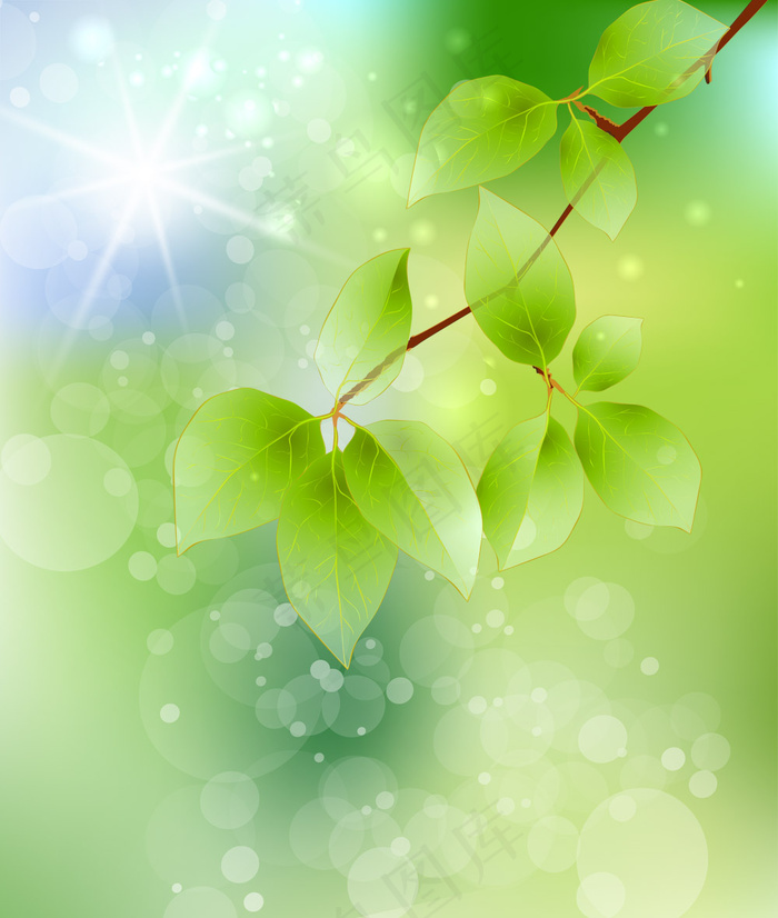 高清树枝绿叶背景psd素材