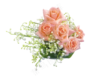 插花 淡粉色 植物