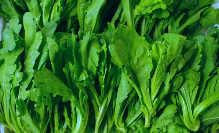 蔬菜 茼蒿菜图片
