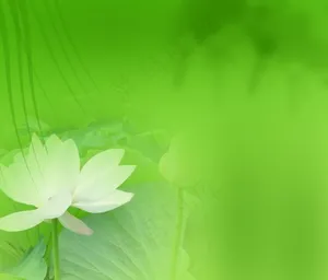 绿色背景图片