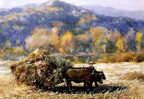 艳阳天图片 艳阳天图片