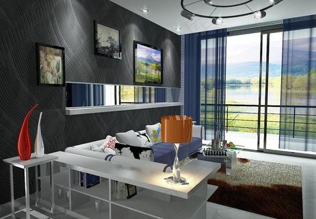 黑白经典系列 现代风格图片