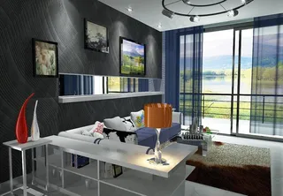 黑白经典系列 现代风格图片