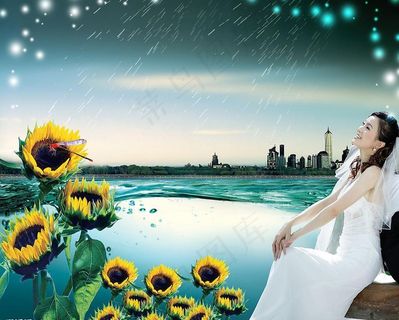 海岸 婚纱摄影模板图片