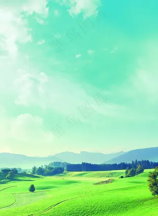 绿色背景图片