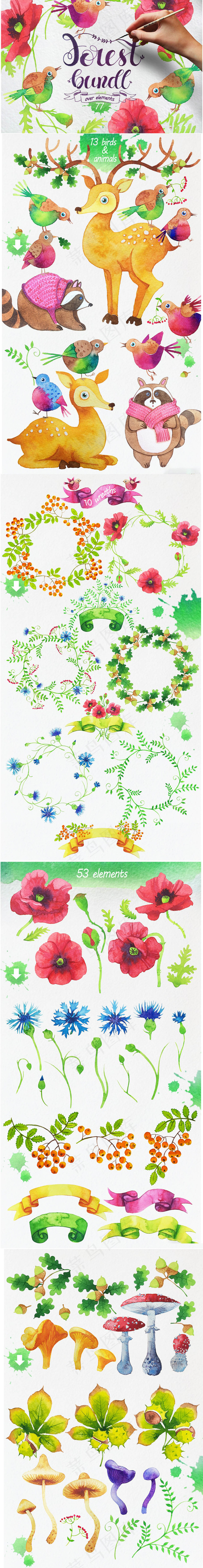 手绘鲜花花鸟设计素材