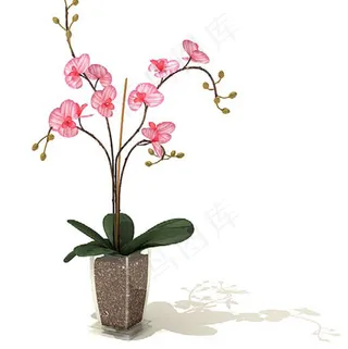 3D室内装饰绿色植物花模型