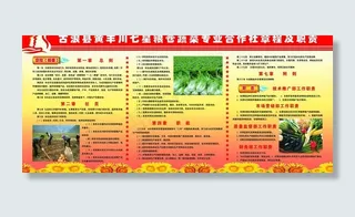 蔬菜合作社章程职责图片