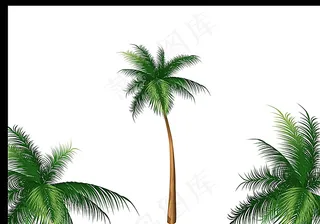 椰子树矢量图图片